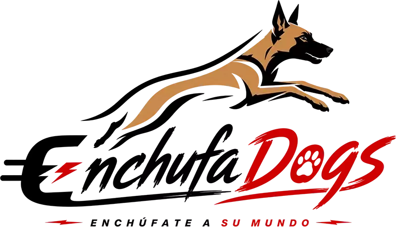 Logotipo de EnchufaDogs agility en Tierra de Campos