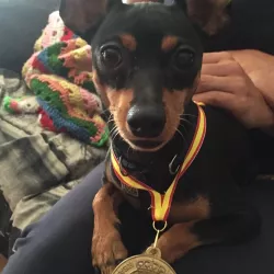 Compañero de pista en los entrenamientos de EnchufaDogs