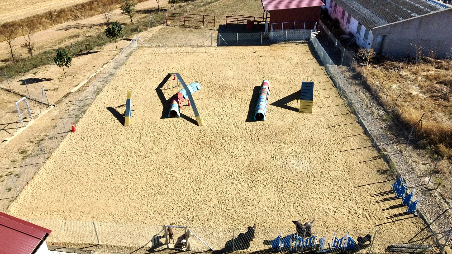 Zona de entrenamiento de agility para perros en Tierra de Campos