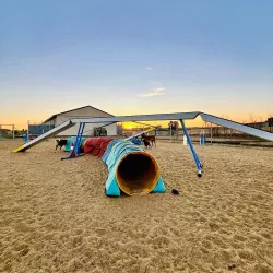Trabajo en pista durante una sesión de agility