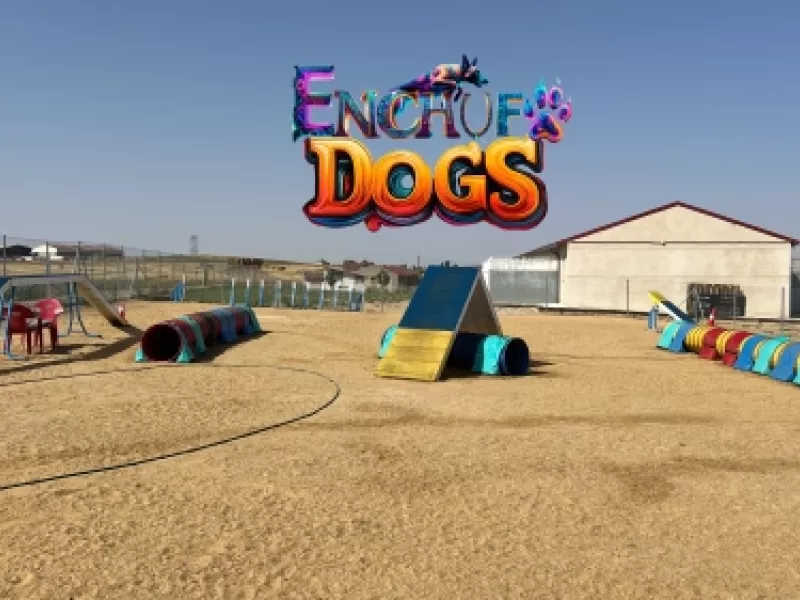 Recorrido de obstáculos en la pista de agility