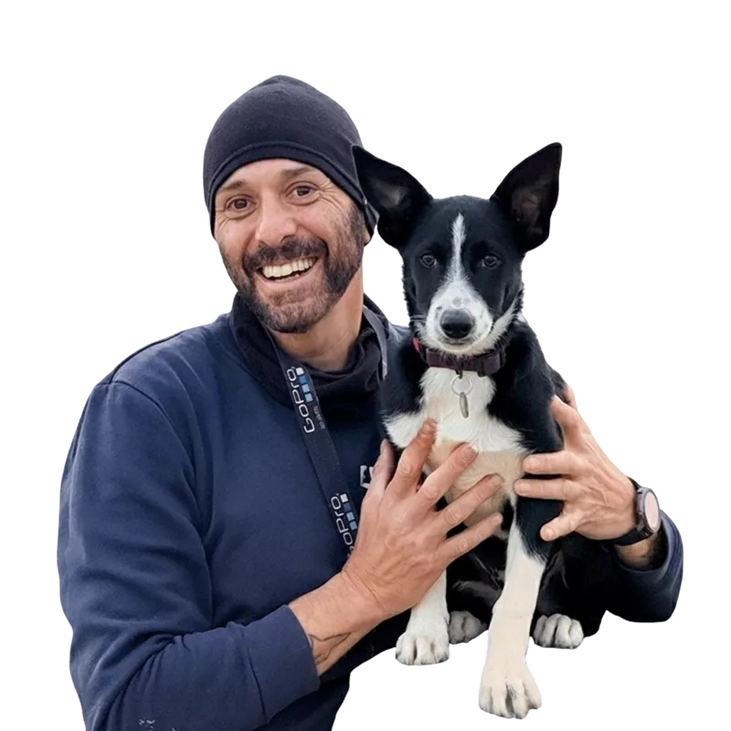 Primera toma de contacto con el agility para perros en EnchufaDogs