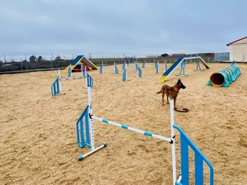 clubagilityperrostierradecampos