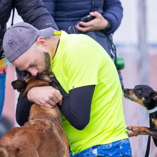 Coach de agility para perros en EnchufaDogs