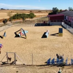 Entrenamiento de agility en Palazuelo de Vedija
