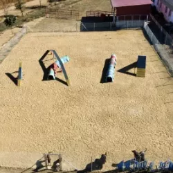 Sesión de práctica en la pista de agility EnchufaDogs