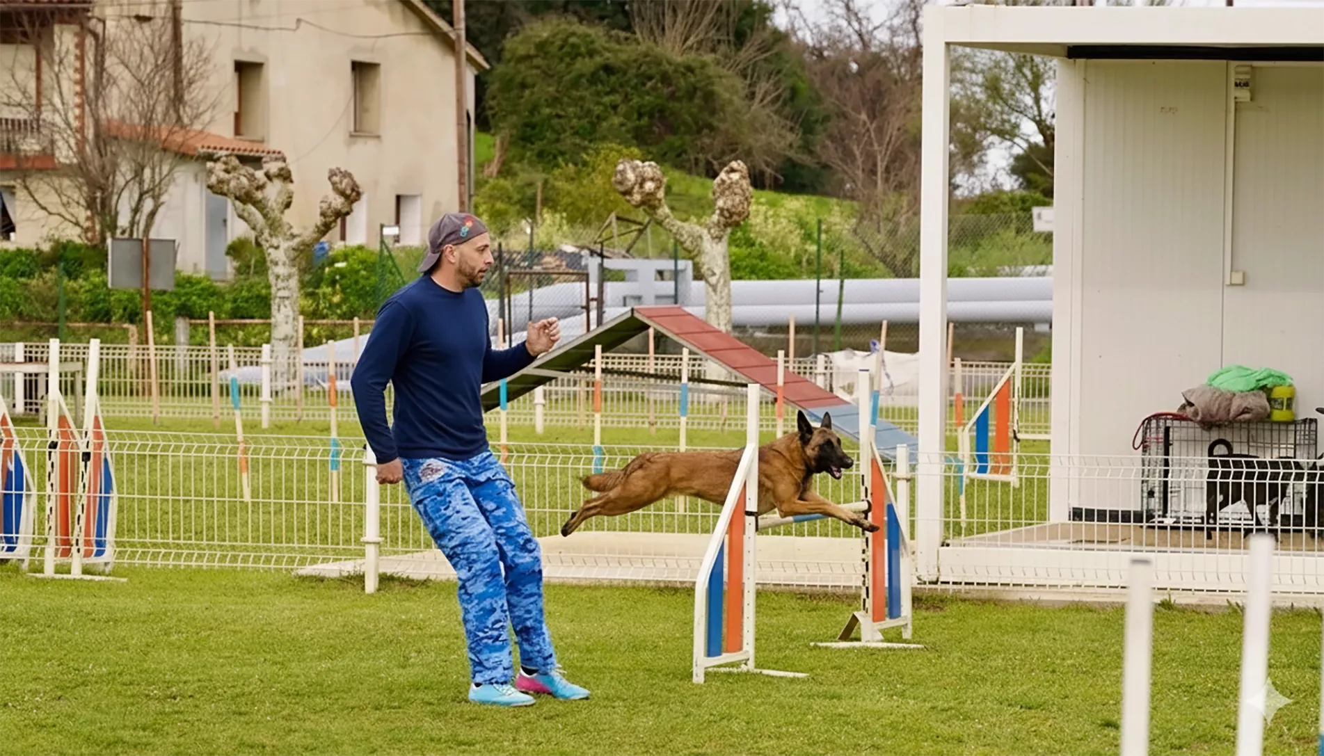 Entrenador de agility trabajando con un perro durante una sesión de entrenamiento