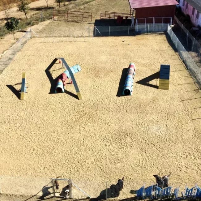 Zona de entrenamiento de agility para perros en Tierra de Campos