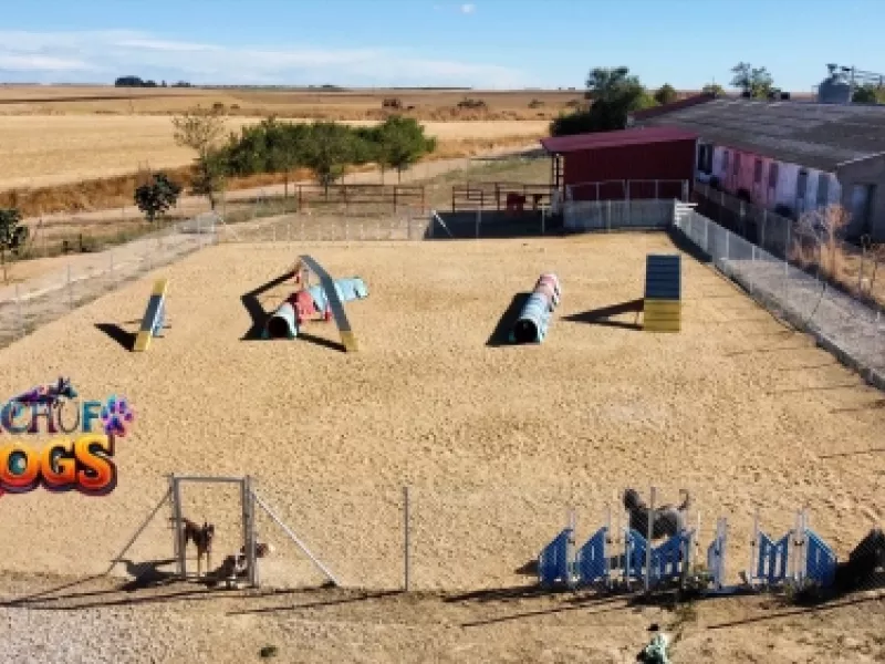 Entrenamiento de agility en Palazuelo de Vedija