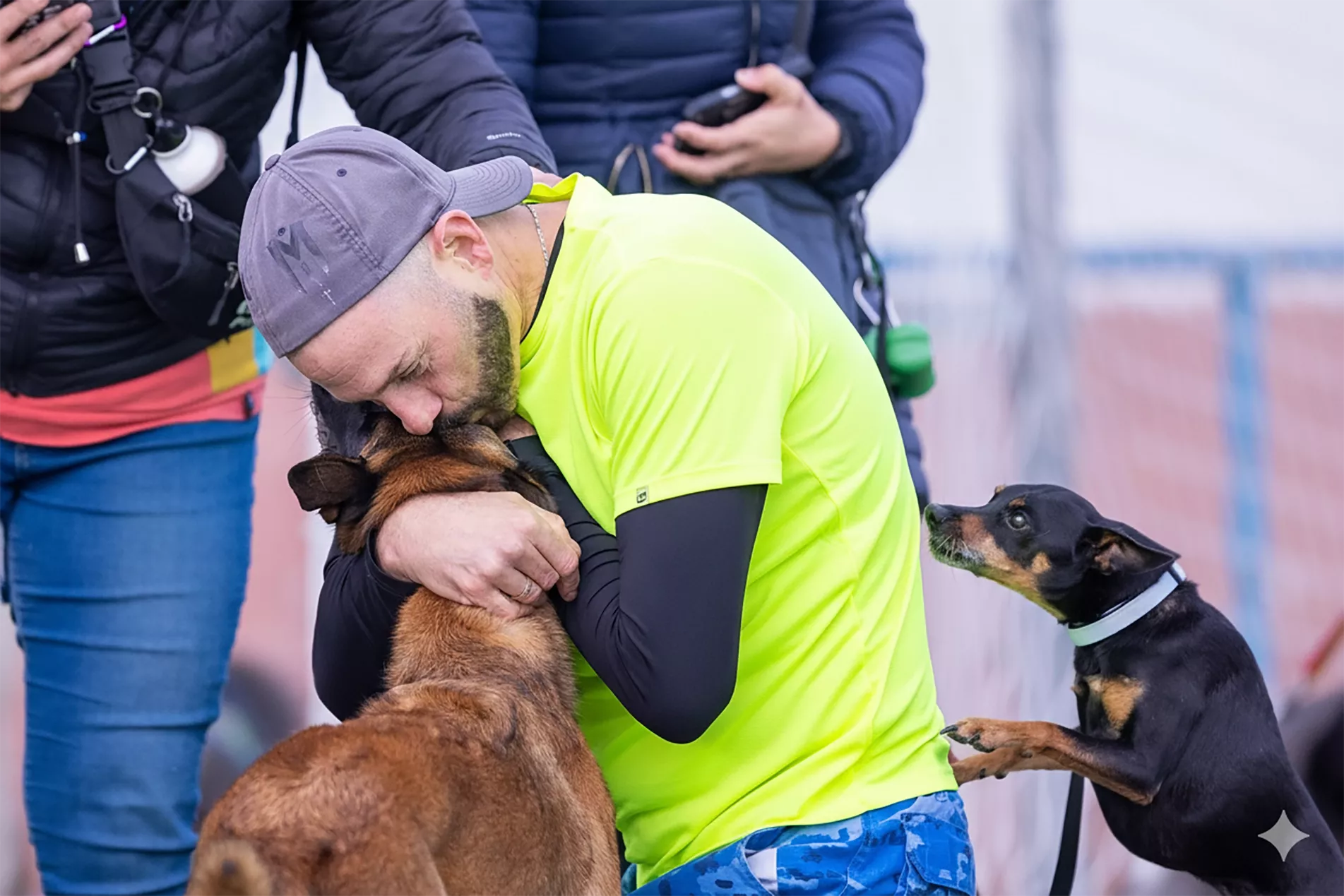 Coach de agility para perros en EnchufaDogs