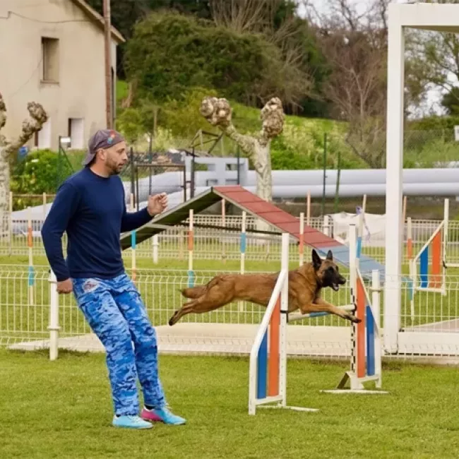 Entrenador de agility trabajando con un perro durante una sesión de entrenamiento