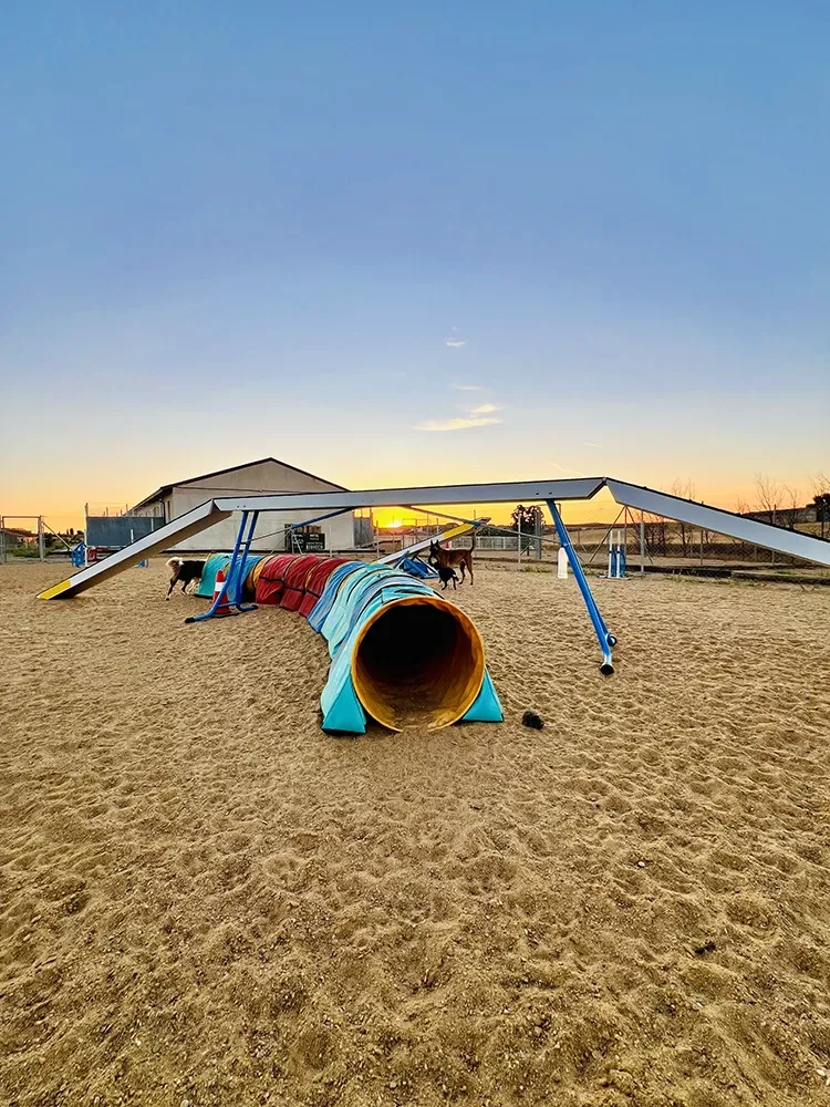 Obstáculos de agility en un parque de entrenamiento para perros