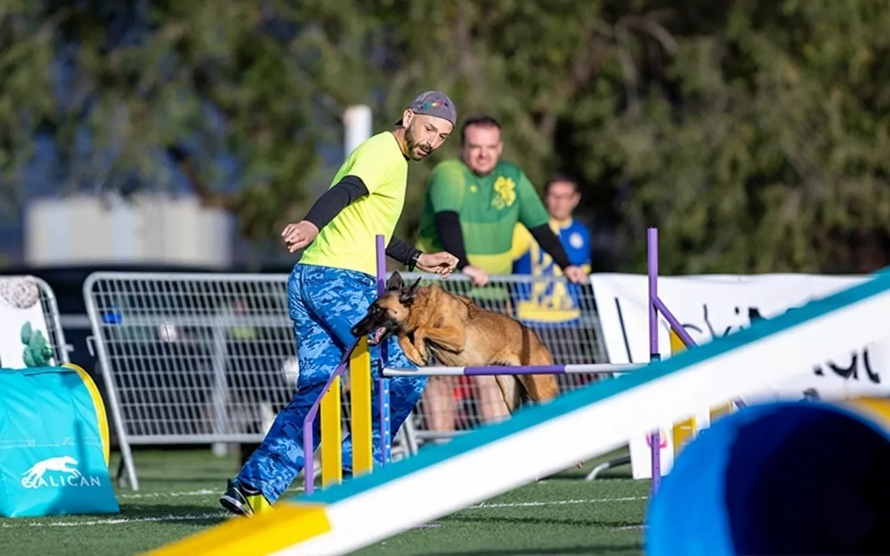 Entrenador de agility trabajando con perro en EnchufaDogs