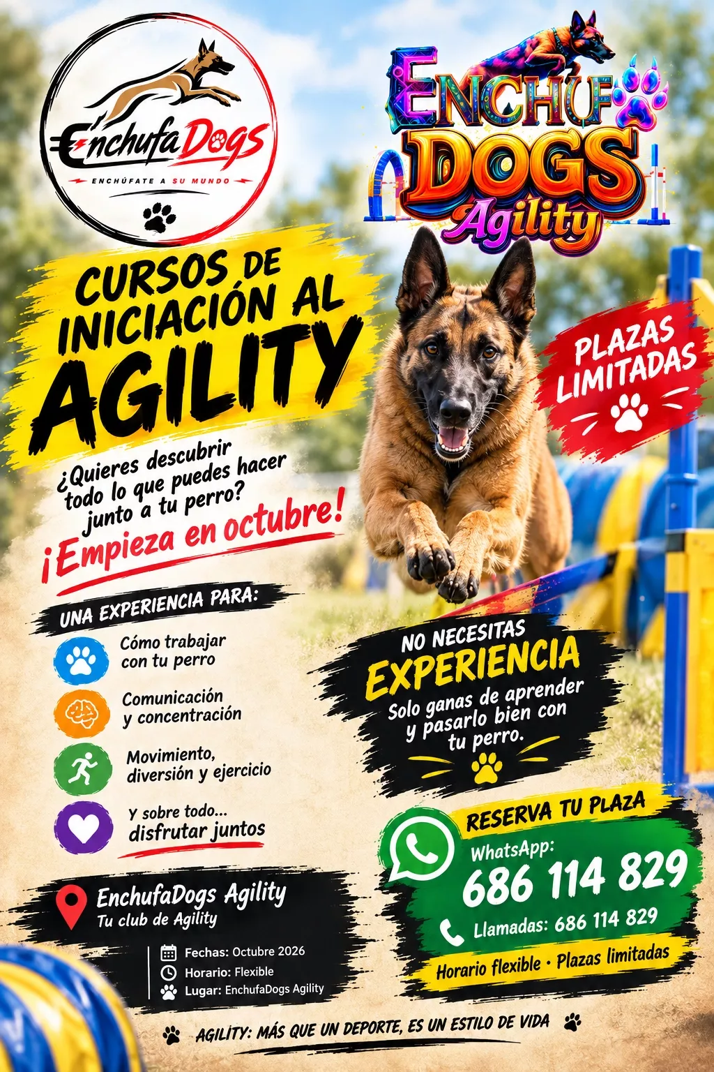 Cartel cursos de iniciaci&oacute;n al Agelity
