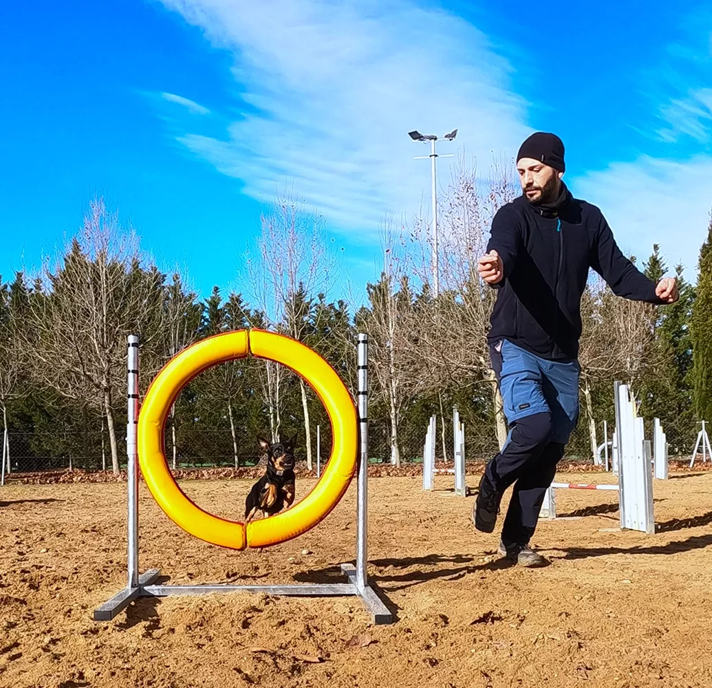 Imagen asociada al formulario de contacto de EnchufaDogs